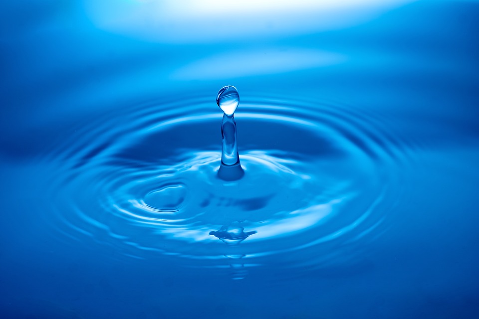 水分