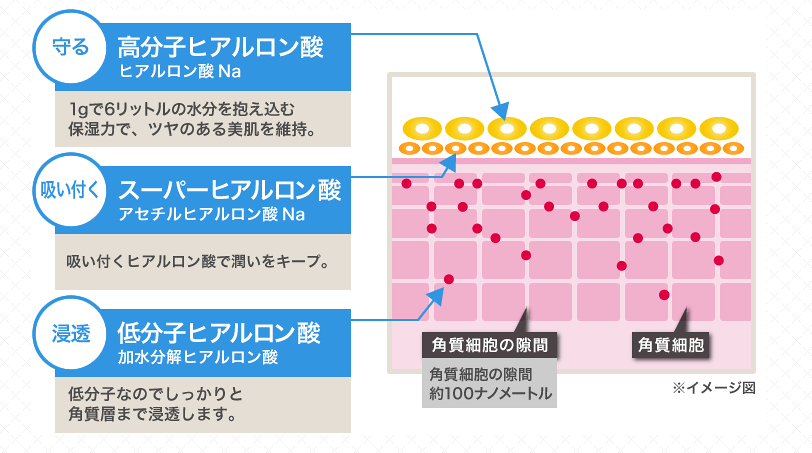 グラシュープラス　グラシューアイクリーム